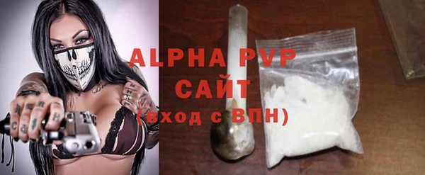 индика Новокубанск