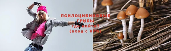 PSILOCYBIN Волоколамск