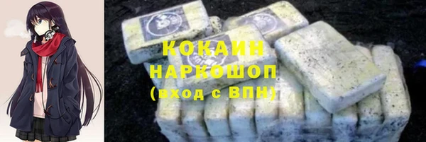 индика Новокубанск