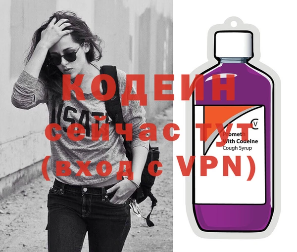 индика Новокубанск