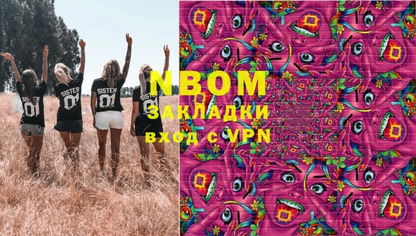 индика Новокубанск