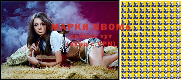 индика Новокубанск